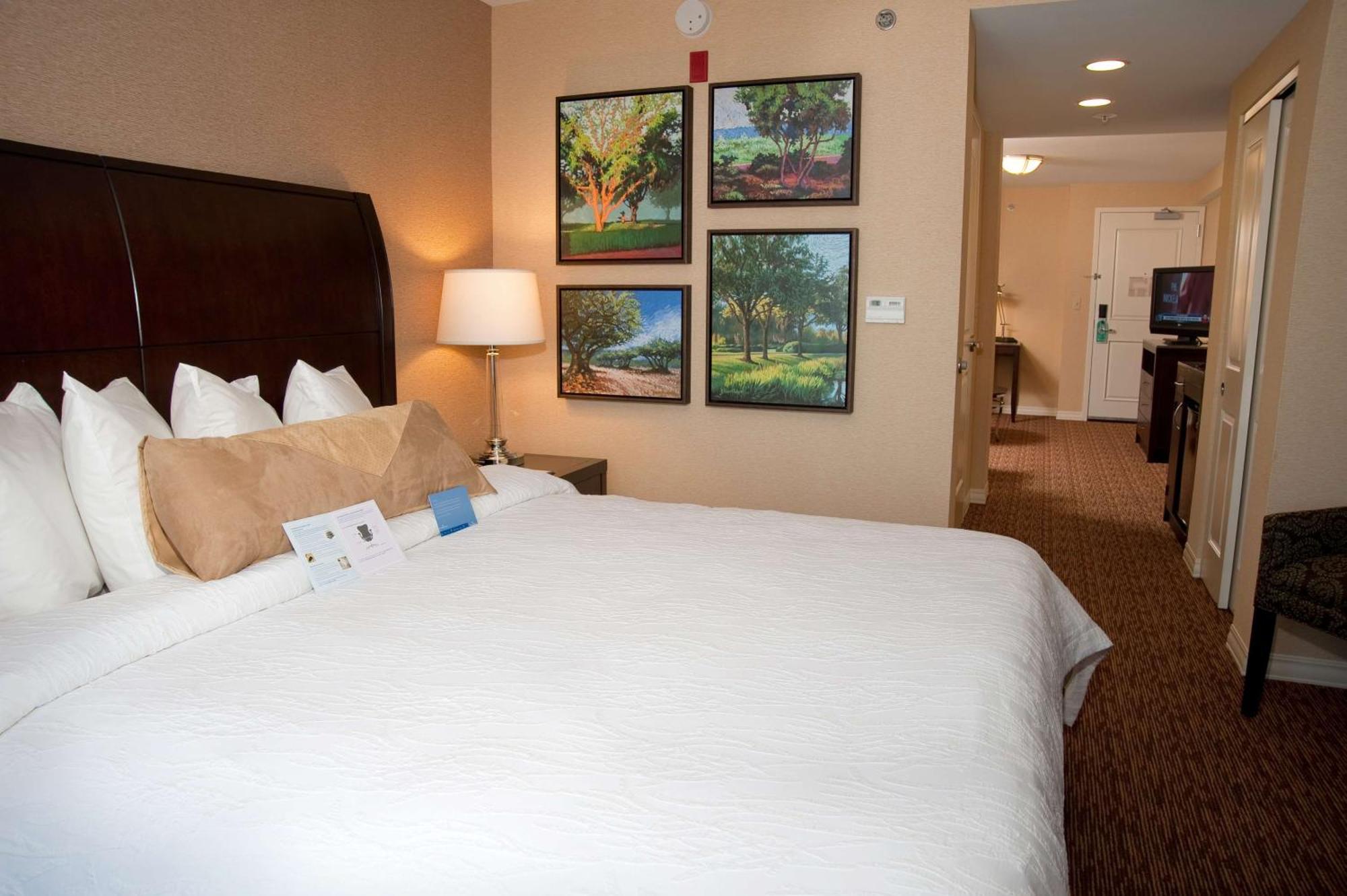 Hilton Garden Inn St. Louis Airport Berkeley Eksteriør bilde